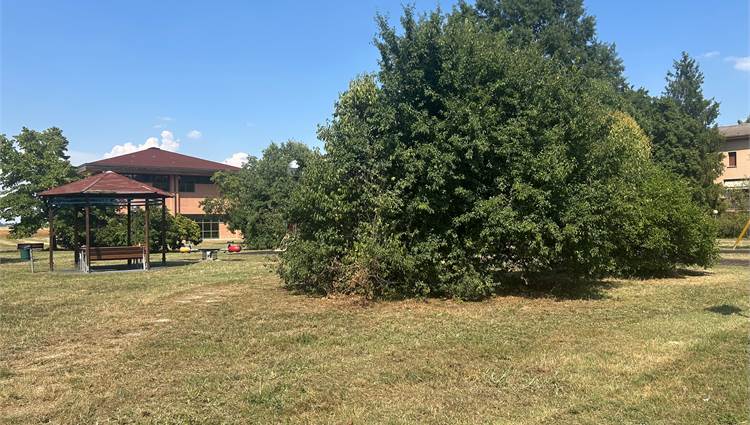 parco pubblico